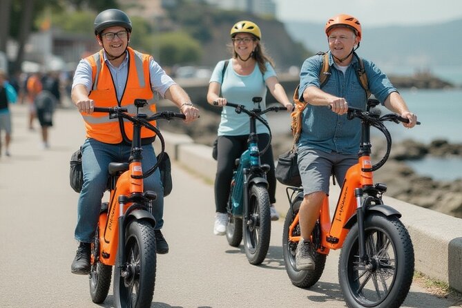 Guided E-Bike Tour Stanley Park and Hidden Gems - Small Groups - Downtown art, Robson Square, and a clear view corridor