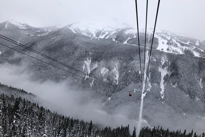Guided Sightseeing Tour in Vancouver, Shannon Falls and Whistler - Shannon Falls Provincial Park: short hike, huge payoff