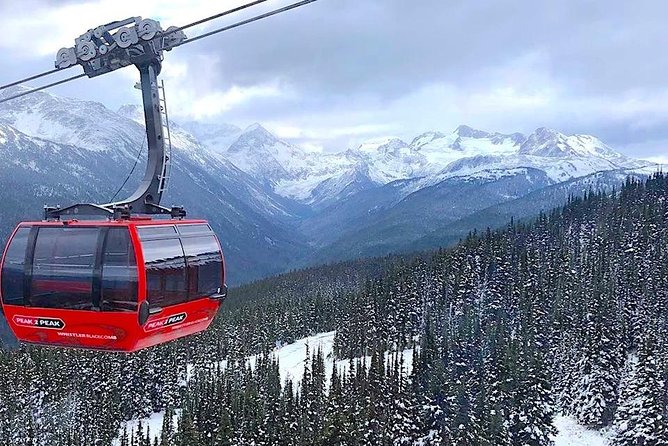 Guided Sightseeing Tour in Vancouver, Shannon Falls and Whistler - Brackendale Eagle Reserve: seasonal bald eagle viewing