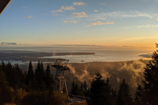Guided Vancouver Hiking Highlights Day Tour with Gondola Download - Grouse Mountain time at the top: bears, shows, and your meal break