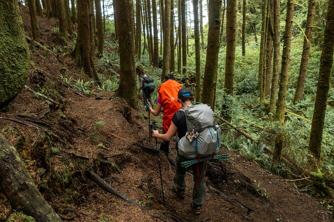 Guided Vancouver Hiking Highlights Day Tour with Gondola Download - Lynn Canyon Suspension Bridge and Twin Falls: rainforest reset