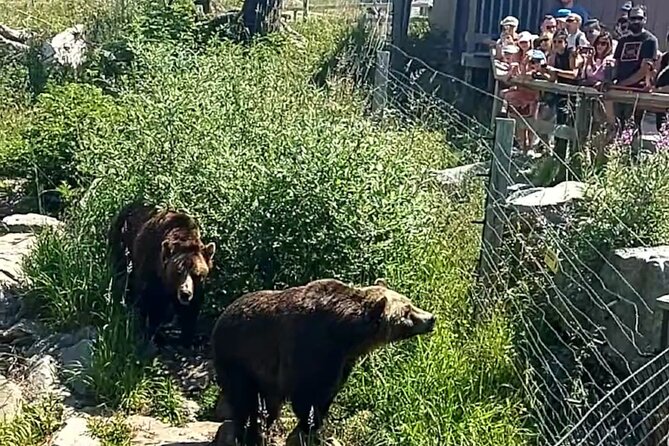 Guided Vancouver Hiking Highlights Day Tour with Gondola Download - Transportation, timing, and group size that actually matter