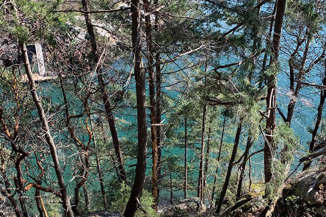 Half-day Hike and Bike Tour in Vancouver - Lighthouse Park hike: 6km of cedar, fir, and ocean-edge walking