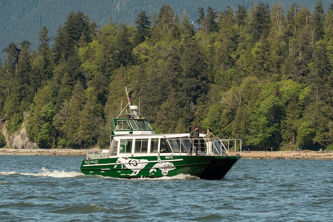 Intimate West Coast Whale Watching - Partly-Sheltered - A Partly-Sheltered Whale Hunt That Starts With Granville Island