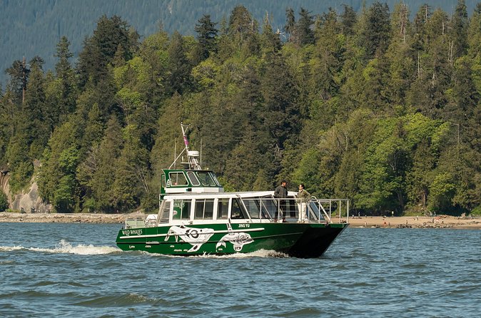 Intimate West Coast Whale Watching - Partly-Sheltered - How the Crew Finds Whales When the Water Changes Fast