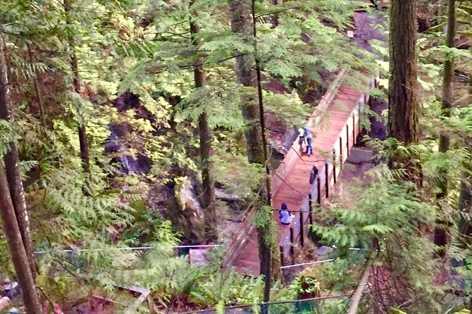 Mesmerizing Nature Walk in Lynn Canyon Park - Lynn Valley Suspension Bridge: the 50-meter view you will talk about