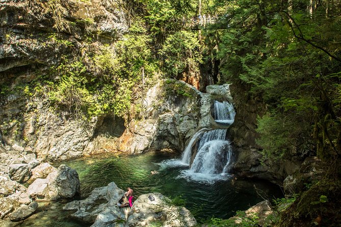 Mesmerizing Nature Walk in Lynn Canyon Park - What the $123.23 price gets you in real terms