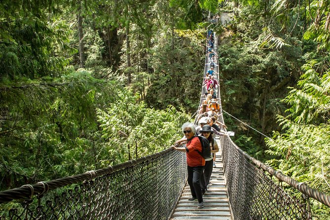 Mesmerizing Nature Walk in Lynn Canyon Park - Getting there from Vancouver is part of the value