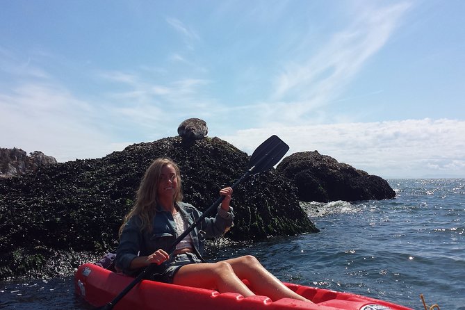 Morning Kayak & Seal Cruise in Vancouver - Key highlights worth waking up for