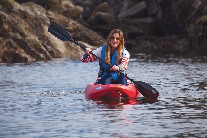 Morning Kayak & Seal Cruise in Vancouver - Wildlife watching: seals, seabirds, and bald eagles up close