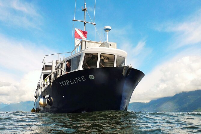 Morning Kayak & Seal Cruise in Vancouver - Paddling logistics you will actually care about