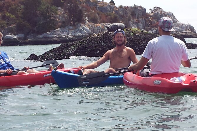 Morning Kayak & Seal Cruise in Vancouver - On the water: kayak or SUP, guided for first-timers