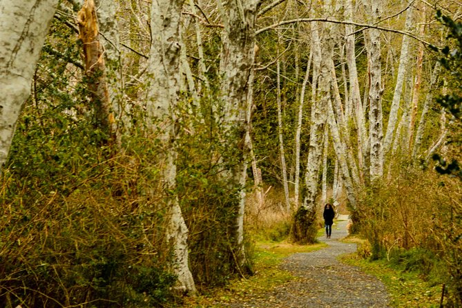 Photography, Hiking & Ferry to Bowen Island - Killarney Lake Parking and the Hike: Old-Growth Forest, Waterfalls, and Real Wildlife