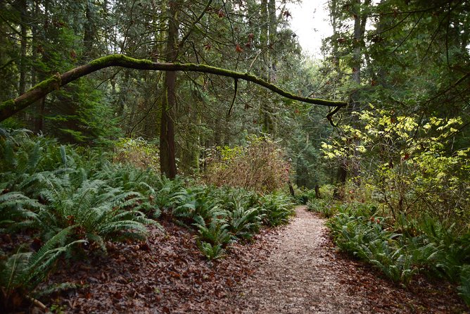 Photography, Hiking & Ferry to Bowen Island - What to Wear and Bring for a Coastal Hike Day