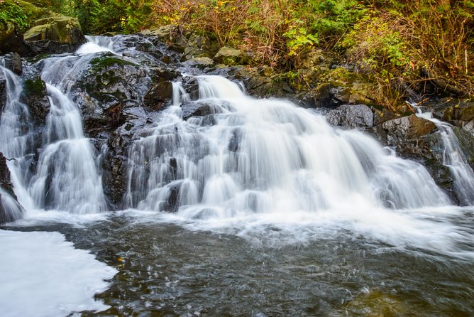 Photography, Hiking & Ferry to Bowen Island - Snug Cove to Bowen Island Visitor Centre: A Calm Start for Eyes and Camera Skills
