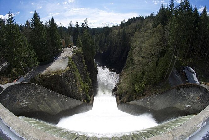 Photography in Rainforest & Suspension Bridge - Key things you’ll notice right away