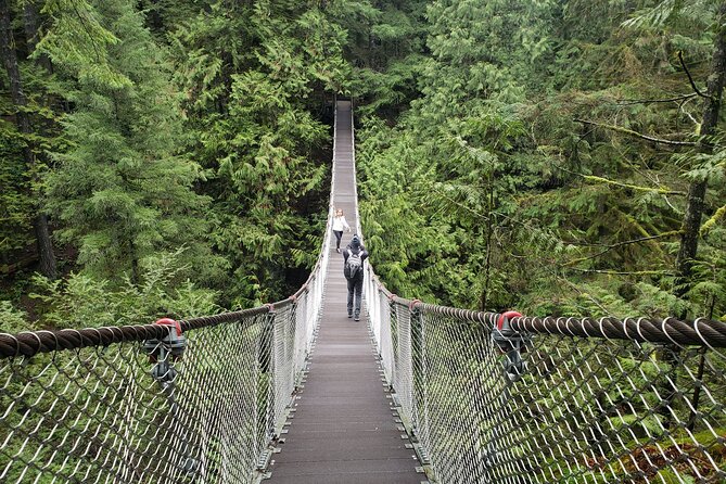Photography in Rainforest & Suspension Bridge - Lynn Canyon’s rainforest light is built for photos