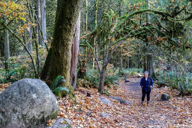 Photography in Rainforest & Suspension Bridge - Price and value: what $86.08 buys you here