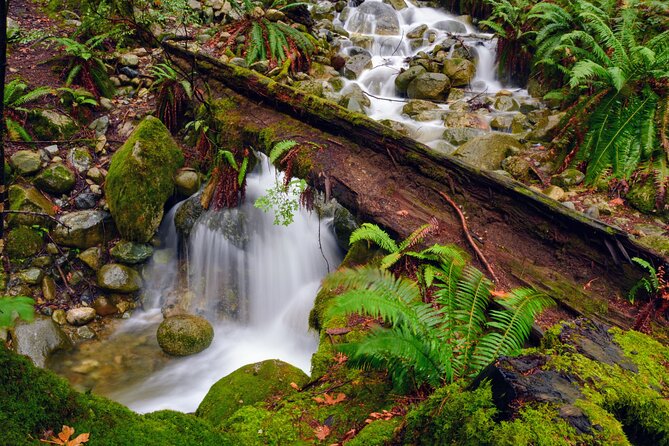 Photography & Intermediate Hiking - Deep Cove Quick Escape From Downtown Vancouver