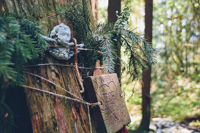 Photography & Intermediate Hiking - Photography Coaching That Helps, Not Just Shooting Tips