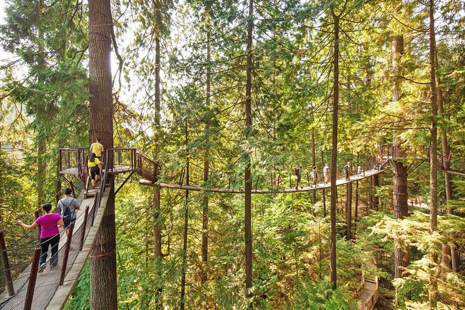 Post-Cruise Shore Excursion: Capilano Suspension Bridge & Grouse Mountain - Getting from Canada Place to the North Shore without transit stress