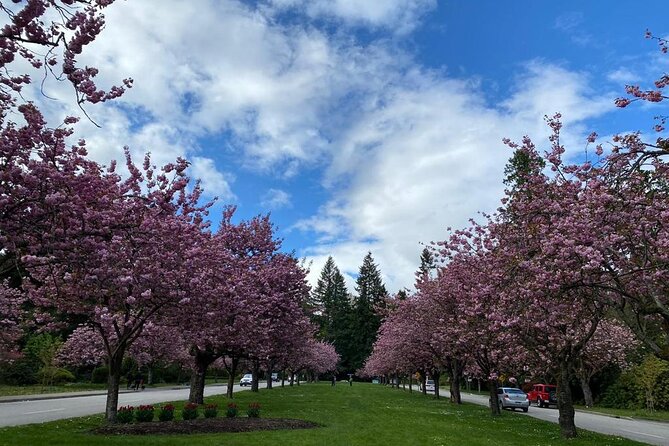 Private Guided Grand City Tour in Vancouver with your luggage - North Shore by the water: North Vancouver, Horseshoe Bay, and West Vancouver lookouts