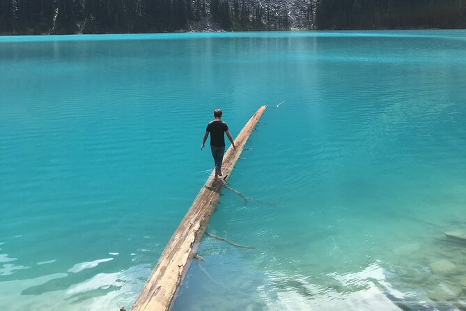 Private Hiking Day tour of Joffre Lakes Park - Joffre Lakes Provincial Park: parking and the 8 km out-and-back hike