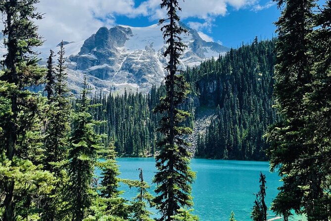 Private Hiking Day tour of Joffre Lakes Park - The guide experience: why a pro like Sinisa changes the day