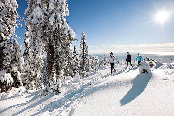 Private Tour: Capilano Suspension Bridge and Grouse Mountain - Stanley Park and Lion’s Gate Bridge pickup that sets the tone fast