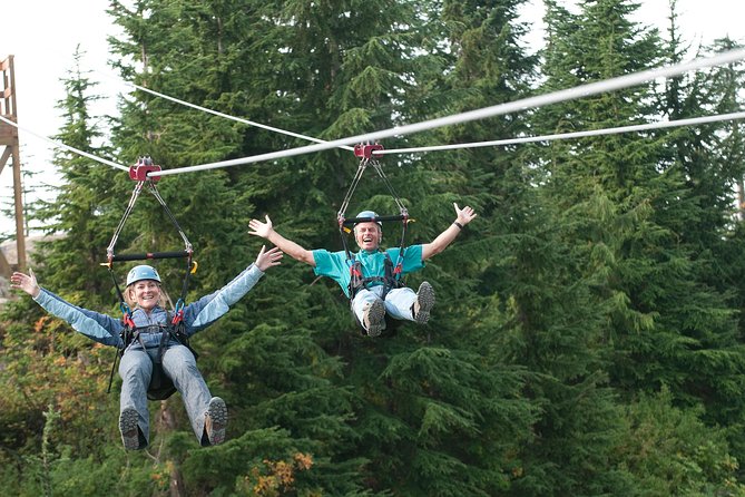 Private Tour: Capilano Suspension Bridge and Grouse Mountain - Grouse Mountain in 2 hours: gondola views, grizzlies, and shows