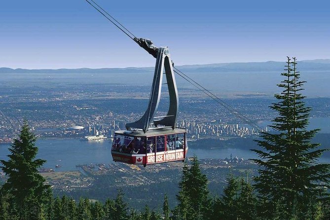 Private Tour: Capilano Suspension Bridge and Grouse Mountain - Price and value: why $367.78 can make sense here