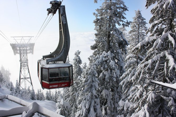 Private Tour: Capilano Suspension Bridge and Grouse Mountain - How skip-the-lines actually saves your half-day