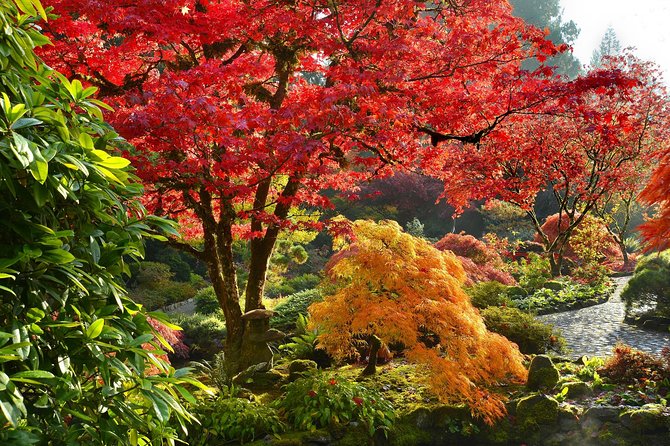 Private Tour: Gardens of Vancouver - Bloedel Conservatory at Queen Elizabeth Park: the tropical dome with free-flying birds