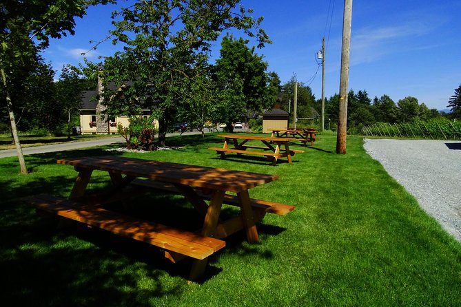 Private Tour: Vancouver Half Day Wine Tasting Tour - Private pacing: how to avoid feeling rushed during tastings