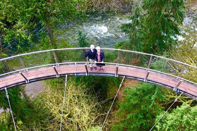 Private Tour: Vancouver Sightseeing and Capilano Suspension Bridge - Granville Island: Market Life Plus Easy Shopping Time