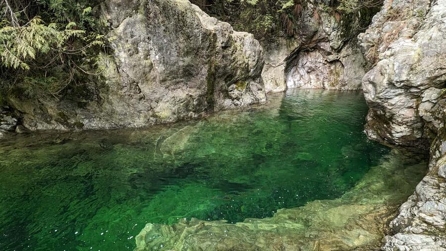 PrivateTour Capilano Br+Granville Islan+Hatchery+Lynn Canyon - Capilano River Hatchery: salmon life cycle in plain language