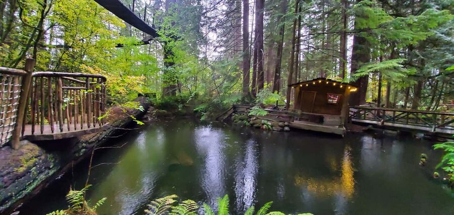 PrivateTour Capilano Br+Granville Islan+Hatchery+Lynn Canyon - Granville Island: artisan shopping and food market time by the water