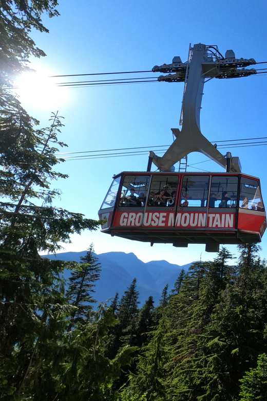 PrivateTour Capilano Br+Granville Islan+Hatchery+Lynn Canyon - Skip the line and skip the logistics: value for $189 per person