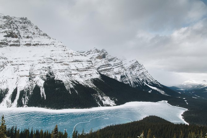 Rockies Winter Premium Tour - Day 4: Bow Valley Parkway wildlife, Emerald Lake, Rogers Pass, and Craigellachie
