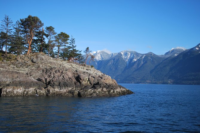Scuba Dive Boat Charter in Vancouver (Certified Divers Only!) - HMCS Annapolis: Vancouver’s First Artificial Reef, Built for Wildlife Viewing