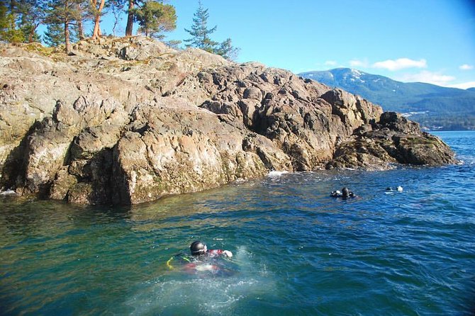 Scuba Dive Boat Charter in Vancouver (Certified Divers Only!) - Cold Water Practical Tips: Heated Cabin, Soup, and How to Stay Comfortable