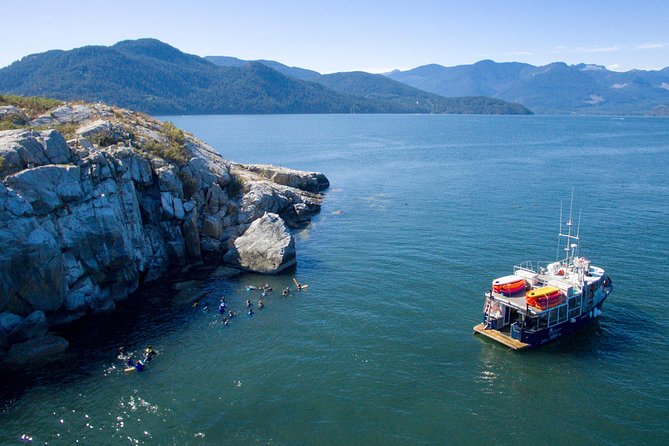 Scuba Dive Boat Charter in Vancouver (Certified Divers Only!) - The Topsail Boat: Heated Comfort, Real Scuba Hardware, and a Good View