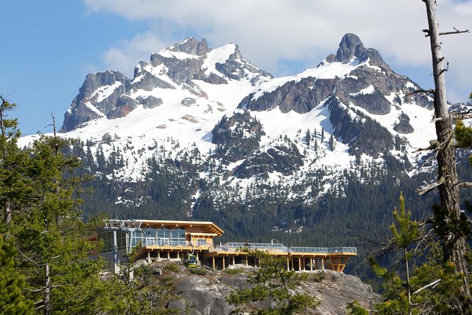 Sea to Sky Gondola Ticket - Why the Sea to Sky Gondola feels like a cheat code in Squamish