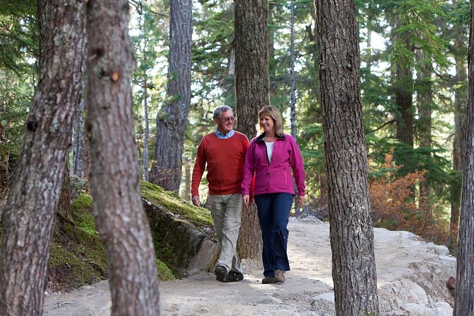 Sea to Sky Gondola Ticket - Price and value: is $58.20 worth it in Squamish?