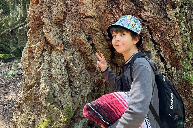 Shannon fall, Quercus Point and Squamish city Private tour - Who should book this tour, and who should think twice
