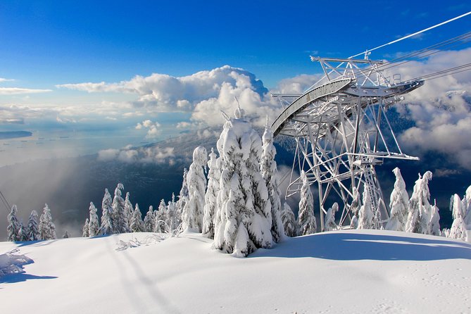 Small Group Tour: Capilano Suspension Bridge and Grouse Mountain from Vancouver - Grouse Mountain: Red Skyride, Grizzlies, and What You Can Actually Do