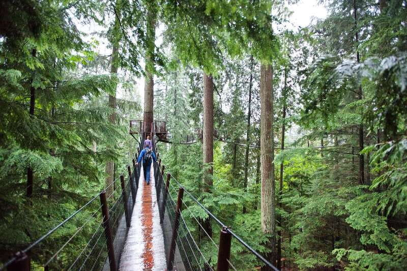 Small group tour of Capilano Bridge & Grouse Mountain - Why this Capilano and Grouse Mountain pairing works so well