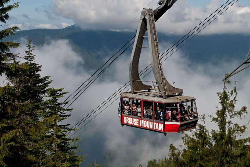 Small group tour of Capilano Bridge & Grouse Mountain - Grouse Mountain: the animal shows and 40+ mountaintop attractions