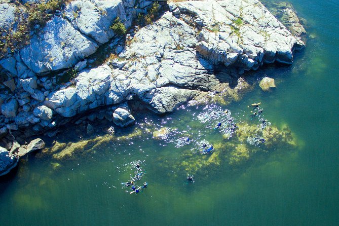 Snorkel, Kayak, and Seal Adventure: Vancouver Boat Tour - Snorkel and Kayak With Seals in Howe Sound