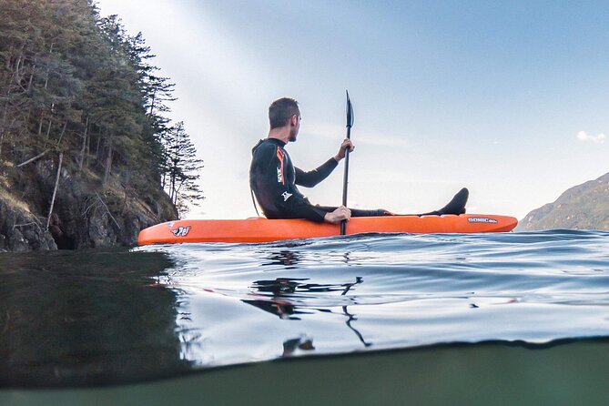 Snorkel, Kayak, and Seal Adventure: Vancouver Boat Tour - Kayaks Nearby: Switching Activities or Staying Afloat